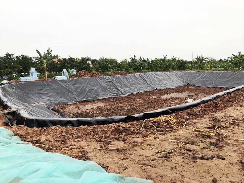 Địa Chỉ Bán Bạt HDPE Lót Ao Hồ Chứa Nước Nuôi Cá Tưới Cây Tại Bình Dương