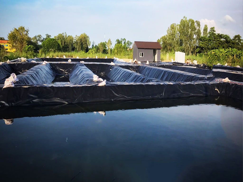 Địa Chỉ Bán Bạt HDPE Lót Ao Hồ Chứa Nước Nuôi Cá Tưới Cây Tại Tây Ninh