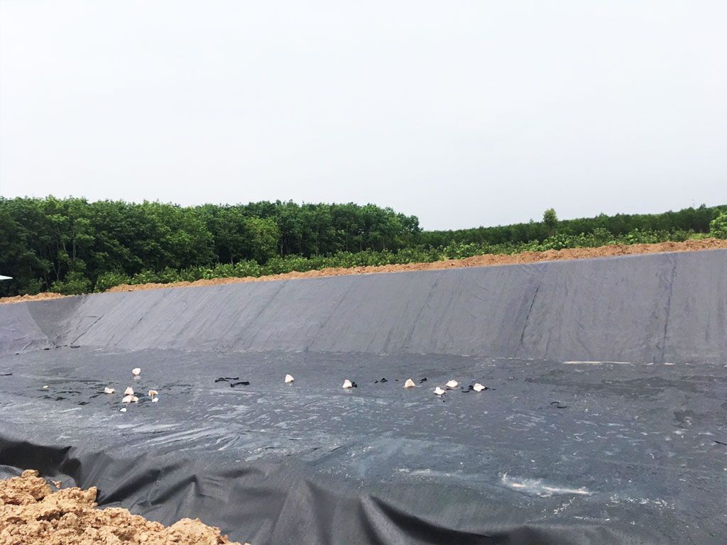 Địa Chỉ Bán Bạt HDPE Lót Ao Hồ Chứa Nước Nuôi Cá Tưới Cây Tại Đắk Nông
